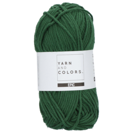 Yarn and Colors Epic 088 Forest