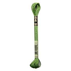DMC Mouliné Metalisse Borduurgaren 6 draads - 8 m | E703