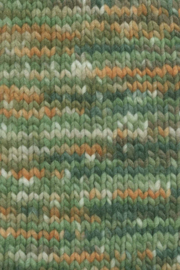 Lang Yarns Bold color | 1098.0001