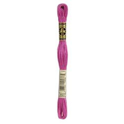 DMC Mouliné Borduurgaren 6 draads - 8 m |  3607