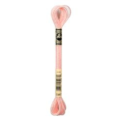 DMC Mouliné Metalisse Borduurgaren 6 draads - 8 m | E967