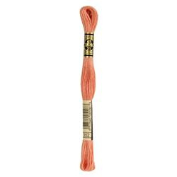 DMC Mouliné Borduurgaren 6 draads - 8 m |  352