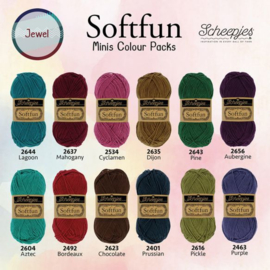 Scheepjes Softfun 20 gram Colourpack | 12 kleuren | Jewel