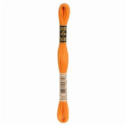 DMC Mouliné Borduurgaren 6 draads - 8 m |  970