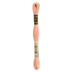 DMC Mouliné Borduurgaren 6 draads - 8 m |  3824