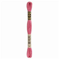DMC Mouliné Borduurgaren 6 draads - 8 m |  961