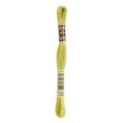 DMC Mouliné Borduurgaren 6 draads - 8 m |  165