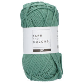 Yarn and Colors Epic 079 Aventurine