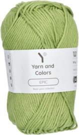Yarn and Colors Epic 123 Fern