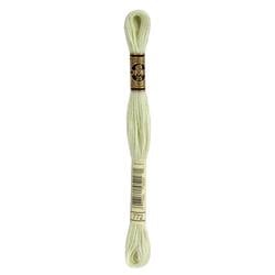DMC Mouliné Borduurgaren 6 draads - 8 m |  772