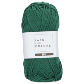 Yarn and Colors Epic 078 Bottle
