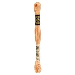 DMC Mouliné Borduurgaren 6 draads - 8 m |  3825
