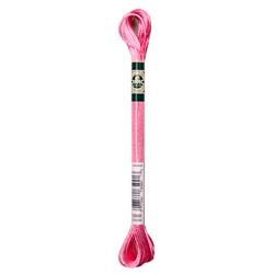 DMC Mouliné Satin Borduurgaren 6 draads - 8 m | S899