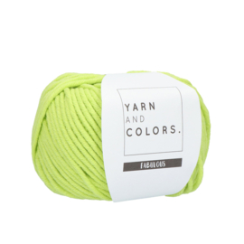 Yarn and Colors Fabulous 084 Pistachio