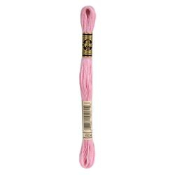 DMC Mouliné Borduurgaren 6 draads - 8 m |  604