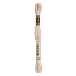 DMC Mouliné Borduurgaren 6 draads - 8 m |  3774