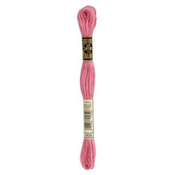 DMC Mouliné Borduurgaren 6 draads - 8 m |  899