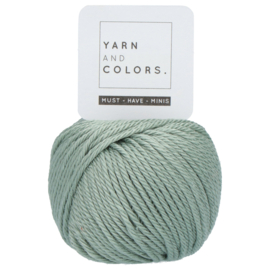 Yarn and Colors Must-have Minis 080 Eucalyptus