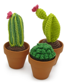 Haakpakket | Hardicraft | Cactussen