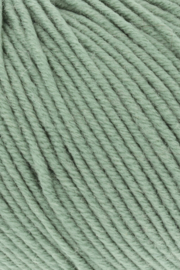 Lang Yarns Merino 120 | 34.0091 | Sage
