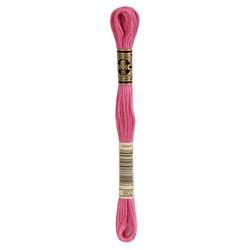 DMC Mouliné Borduurgaren 6 draads - 8 m |  602