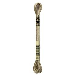 DMC Mouliné Metalisse Borduurgaren 6 draads - 8 m | E677