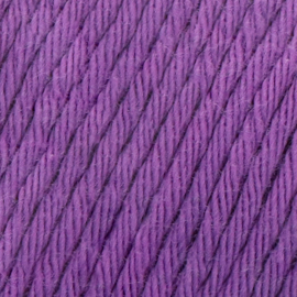 Yarn and Colors Epic 055 Lilac