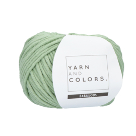 Yarn and Colors Fabulous 080 Eucalyptus