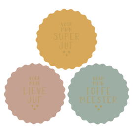 Stickers | Voor juf en meester | 10 stuks