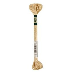 DMC Mouliné Satin Borduurgaren 6 draads - 8 m | S738