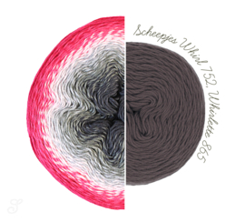 Scheepjes Whirlette 865 Chewy