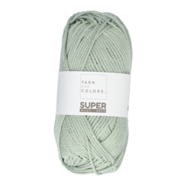 Yarn and Colors Super Must-have 080 Eucalyptus