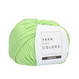 Yarn and Colors Fabulous 081 Lettuce