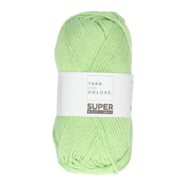 Yarn and Colors Super Must-have 081 Lettuce