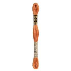 DMC Mouliné Borduurgaren 6 draads - 8 m |  922