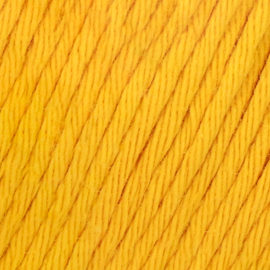 Yarn and Colors Epic 015 Mustard