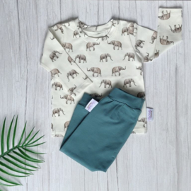Longsleeve Olifant