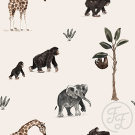 Knoopmuts Safari