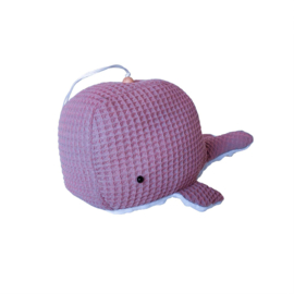 Walvis Wafel Oudroze
