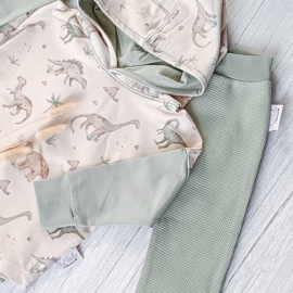 Hoodie Shirt Dino/Dusty Groen