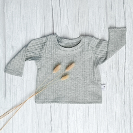 Longsleeve Brede Rib Jersey Lichtgrijs