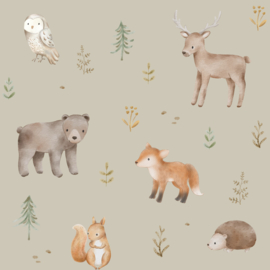Knoopmuts Forest Friends