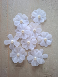 Sluitzegels, wensetiketten, patches