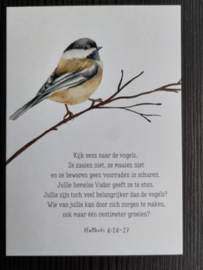 Minikaart - Kijk eens naar de vogels ...