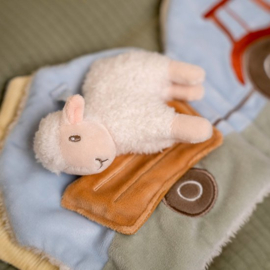 Activiteitenboekje Little Farm boerderij