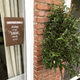 Poster Jezus is het licht van de wereld