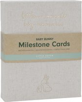 Mijlpaalkaarten - baby bunny