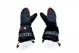 Wintergoves , worn with thin fleece gloves warm till -25