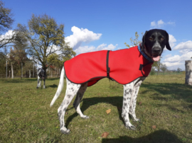 Trocknungs jacke fur hunde