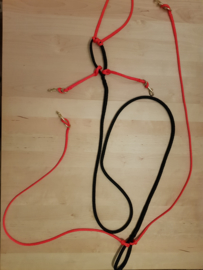 Zugleinenset PE für 4 Hunde mit Karabiner